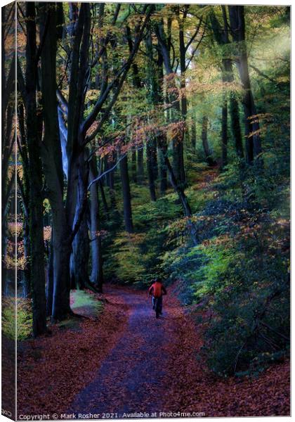 Cycling through the beech wood Canvas Print by Mark Rosher