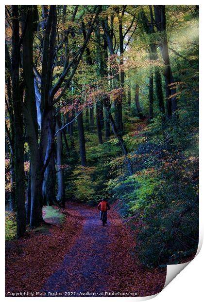 Cycling through the beech wood Print by Mark Rosher