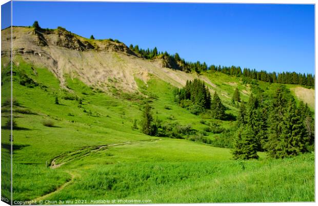 Landscape of mountains of Alps in summer with trees in Portes du Soleil,  France, Europe Canvas Print by Chun Ju Wu
