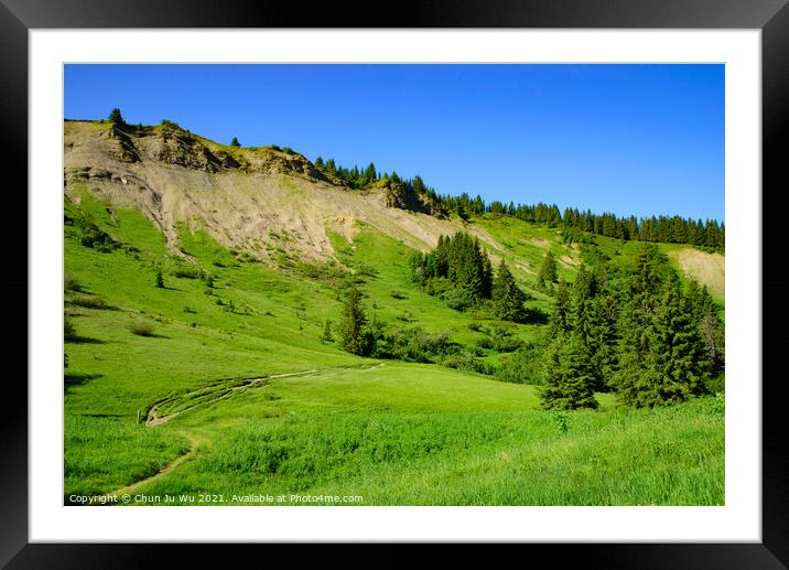 Landscape of mountains of Alps in summer with trees in Portes du Soleil,  France, Europe Framed Mounted Print by Chun Ju Wu