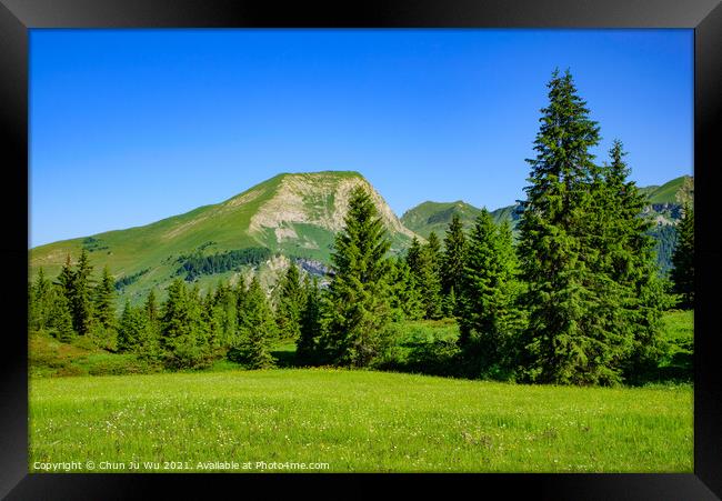 Landscape of mountains of Alps in summer with green meadow and flowers in Portes du Soleil,  France, Europe Framed Print by Chun Ju Wu