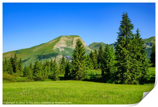 Landscape of mountains of Alps in summer with green meadow and flowers in Portes du Soleil,  France, Europe Print by Chun Ju Wu