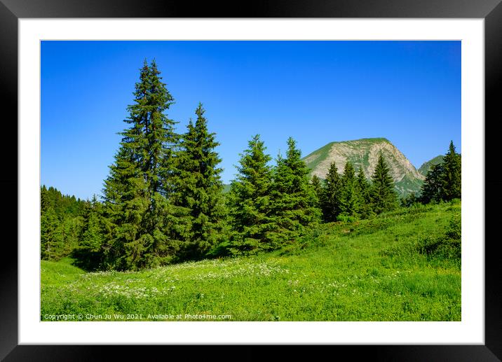 Landscape of mountains of Alps in summer with green meadow and flowers in Portes du Soleil,  France, Europe Framed Mounted Print by Chun Ju Wu