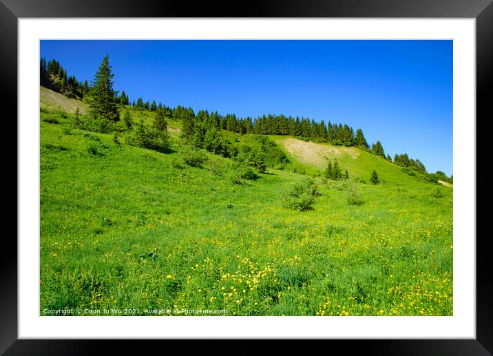 Landscape of mountains of Alps in summer with green meadow and flowers in Portes du Soleil,  France, Europe Framed Mounted Print by Chun Ju Wu