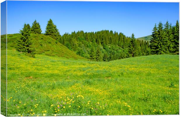 Landscape of mountains of Alps in summer with green meadow and flowers in Portes du Soleil,  France, Europe Canvas Print by Chun Ju Wu