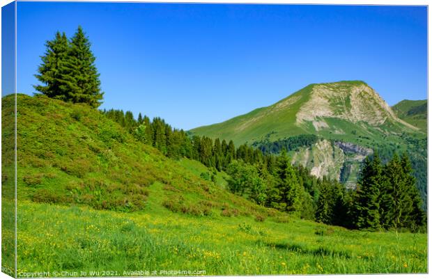 Landscape of mountains of Alps in summer with green meadow and flowers in Portes du Soleil,  France, Europe Canvas Print by Chun Ju Wu