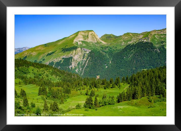 Landscape of mountains of Alps in summer with trees in Portes du Soleil,  France, Europe Framed Mounted Print by Chun Ju Wu