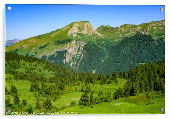 Landscape of mountains of Alps in summer with trees in Portes du Soleil,  France, Europe Acrylic by Chun Ju Wu