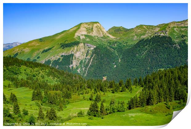Landscape of mountains of Alps in summer with trees in Portes du Soleil,  France, Europe Print by Chun Ju Wu