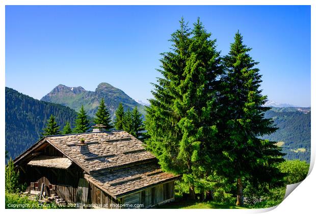 A traditional wooden building in mountains of Alps in summer in Portes du Soleil, France, Europe Print by Chun Ju Wu