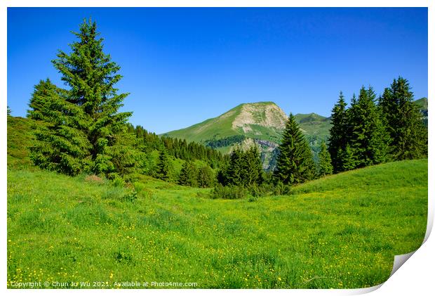 Landscape of mountains of Alps in summer with green meadow and flowers in Portes du Soleil,  France, Europe Print by Chun Ju Wu