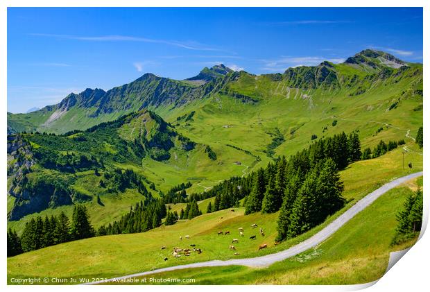 Landscape of mountains of Alps in summer with green meadow in Portes du Soleil, Switzerland, Europe Print by Chun Ju Wu