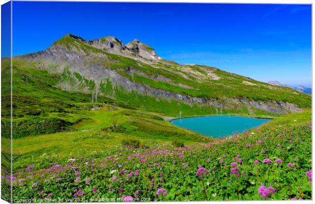 Landscape of mountains of Alps in summer with flowers and a lake in Portes du Soleil, France, Europe Canvas Print by Chun Ju Wu