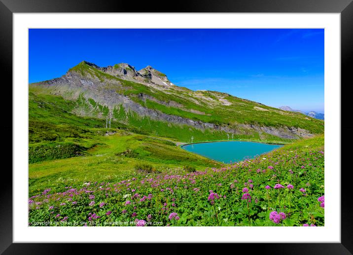 Landscape of mountains of Alps in summer with flowers and a lake in Portes du Soleil, France, Europe Framed Mounted Print by Chun Ju Wu