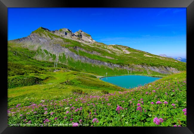 Landscape of mountains of Alps in summer with flowers and a lake in Portes du Soleil, France, Europe Framed Print by Chun Ju Wu
