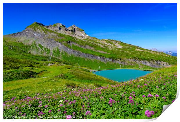 Landscape of mountains of Alps in summer with flowers and a lake in Portes du Soleil, France, Europe Print by Chun Ju Wu