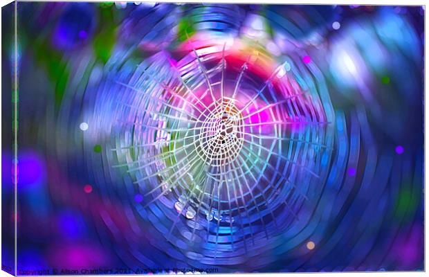 Web of Dreams Canvas Print by Alison Chambers