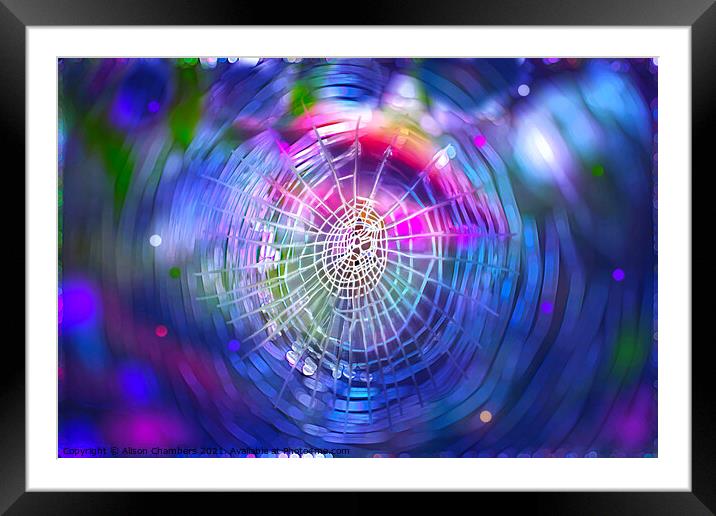 Web of Dreams Framed Mounted Print by Alison Chambers