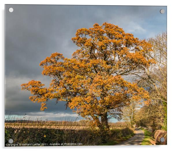 Thorpe Autumn Oak Acrylic by Richard Laidler