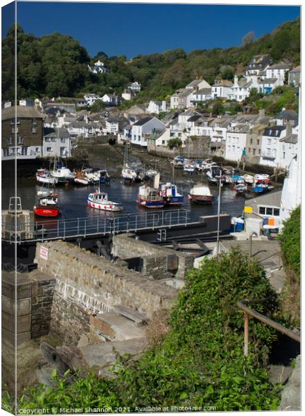 Cliffside view of Polperro Harbour in Cornwall Canvas Print by Michael Shannon