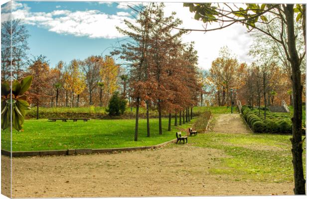path in the park with benches, trees and dry leaves Canvas Print by David Galindo