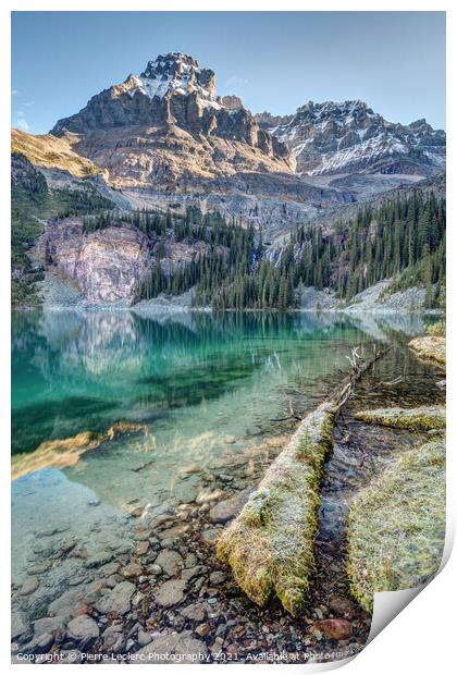 Scenic Shoreline of Lake O'Hara  Print by Pierre Leclerc Photography
