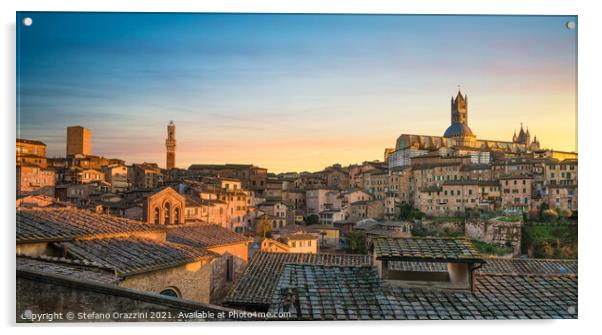 Siena panoramic skyline at sunset. Mangia tower and Duomo Acrylic by Stefano Orazzini