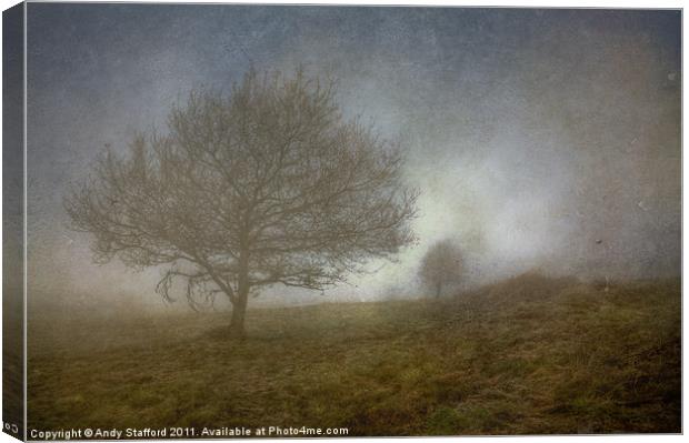 Misty Morning Canvas Print by Andy Stafford