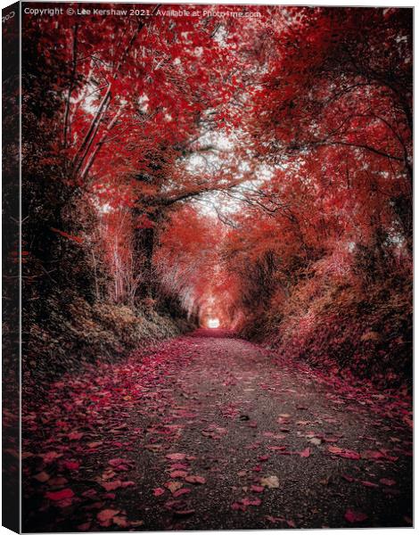"Crimson Canopy: A Tranquil Autumn Journey" Canvas Print by Lee Kershaw