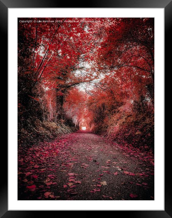 "Crimson Canopy: A Tranquil Autumn Journey" Framed Mounted Print by Lee Kershaw