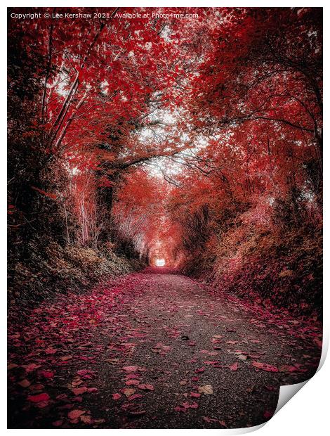 "Crimson Canopy: A Tranquil Autumn Journey" Print by Lee Kershaw