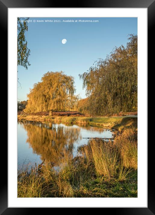 Autumn moon Framed Mounted Print by Kevin White
