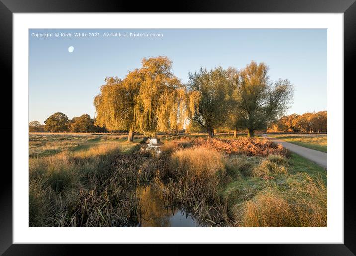 Morning moon in autumn Framed Mounted Print by Kevin White