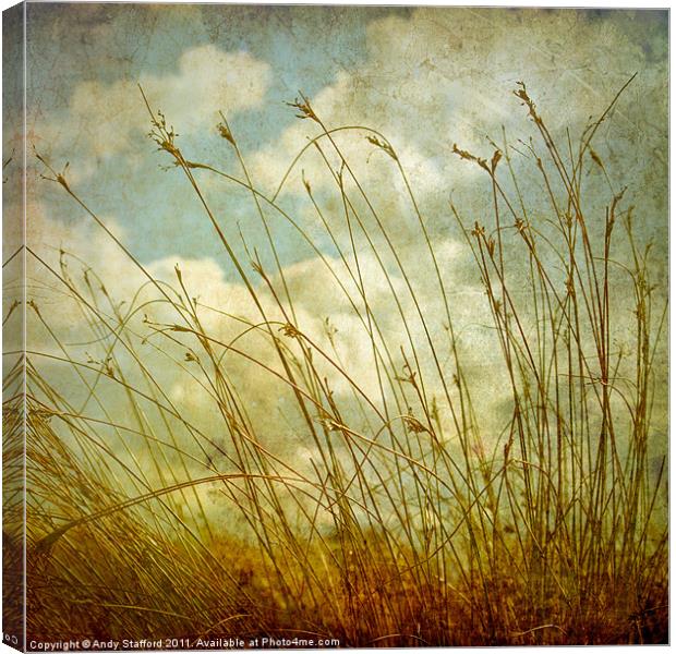 Spring Afternoon Canvas Print by Andy Stafford