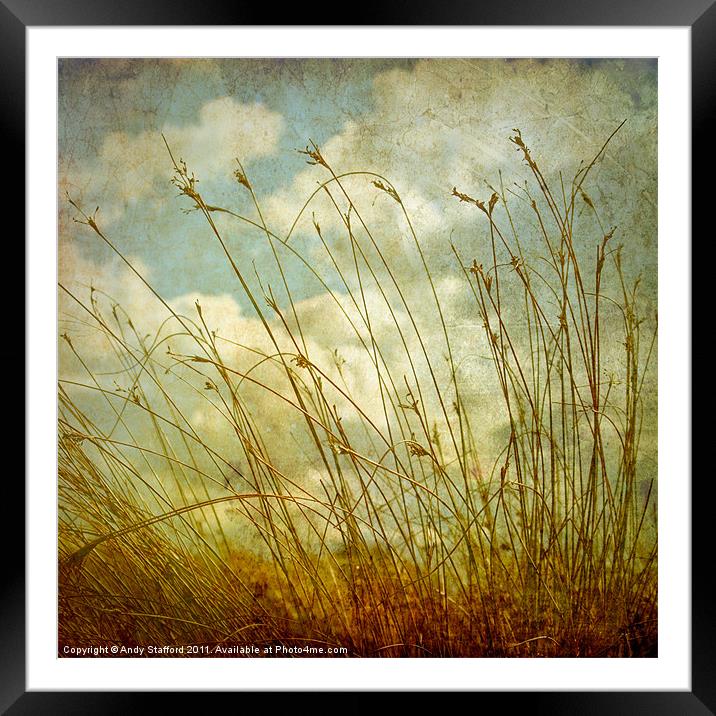 Spring Afternoon Framed Mounted Print by Andy Stafford