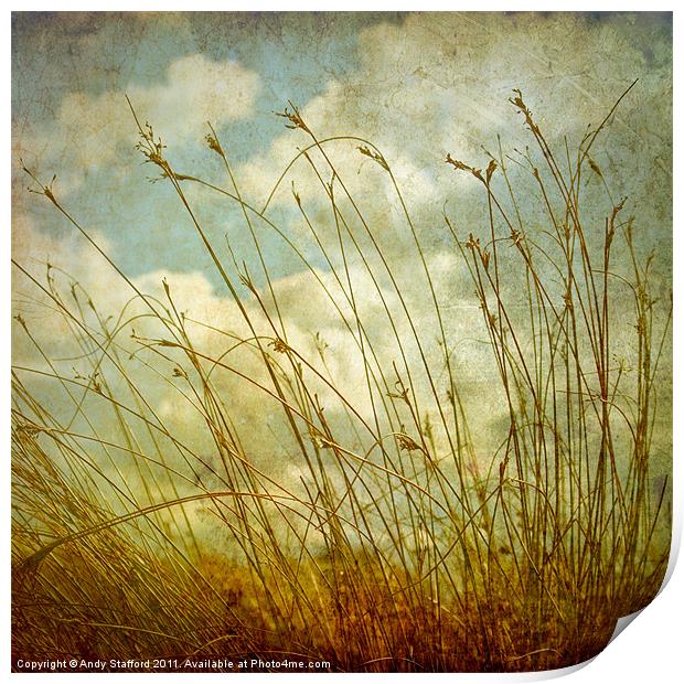Spring Afternoon Print by Andy Stafford