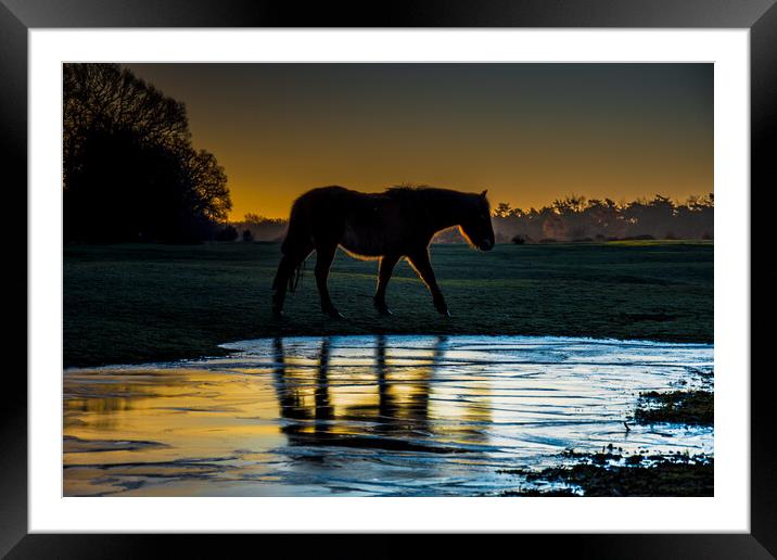 A horse that blocked the light Framed Mounted Print by Elzbieta Sosnowski