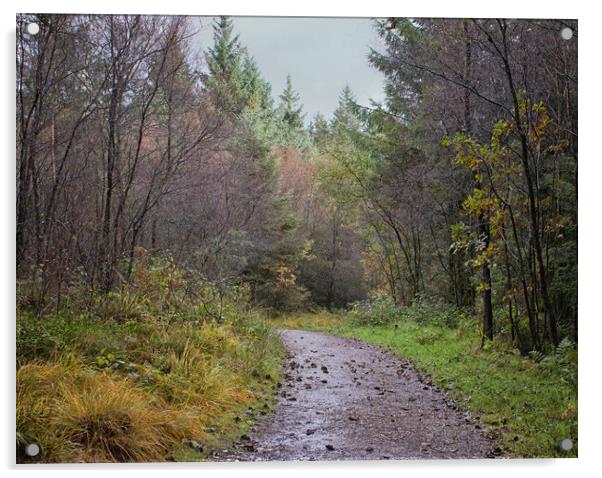 A wet autumn woodland Acrylic by David McCulloch