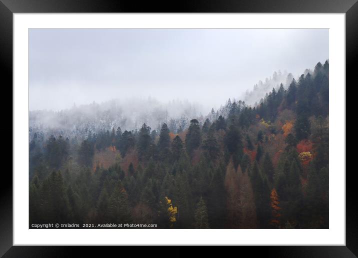 Autumn turns to Winter, Vosges Mountains, France Framed Mounted Print by Imladris 