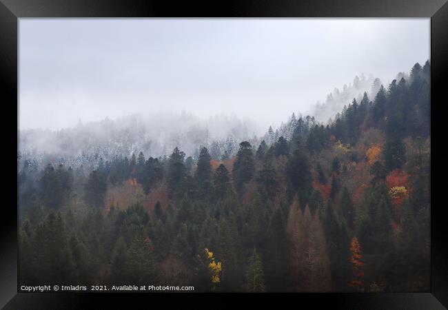 Autumn turns to Winter, Vosges Mountains, France Framed Print by Imladris 