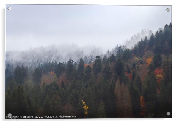 Autumn turns to Winter, Vosges Mountains, France Acrylic by Imladris 