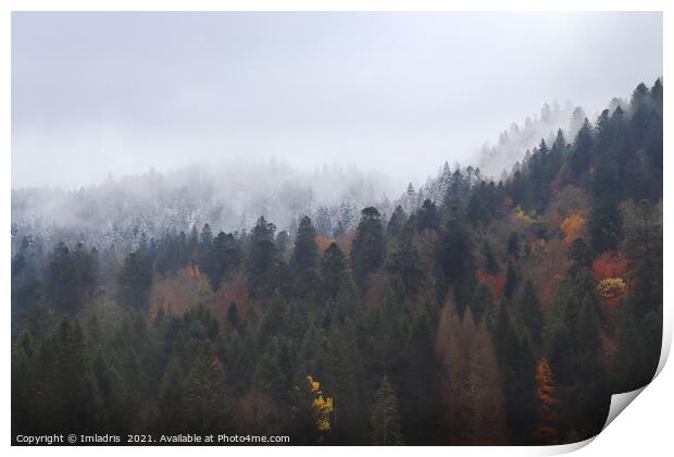 Autumn turns to Winter, Vosges Mountains, France Print by Imladris 
