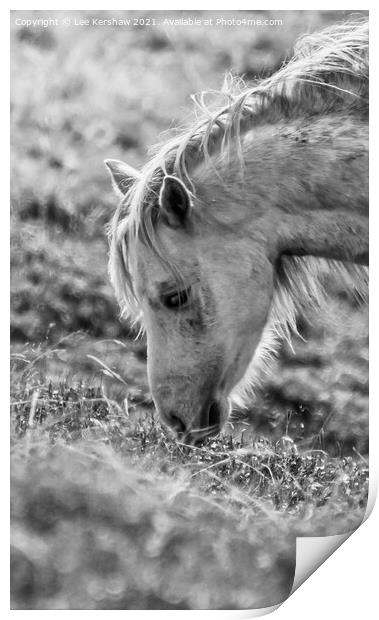 Freedom Unbridled Print by Lee Kershaw