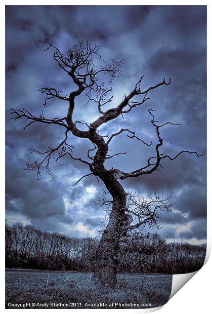Winter Tree Print by Andy Stafford