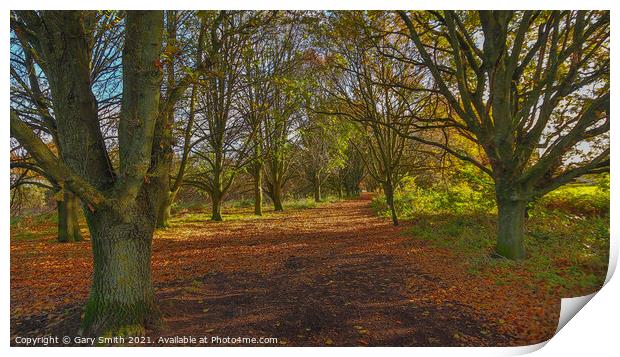 Queen Mother's Avenue Dereham Print by GJS Photography Artist