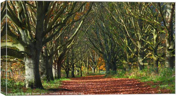 Queen Mother's Avenue Dereham Canvas Print by GJS Photography Artist