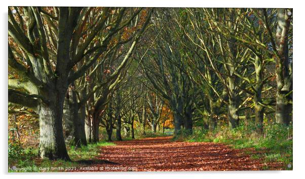 Queen Mother's Avenue Dereham Acrylic by GJS Photography Artist