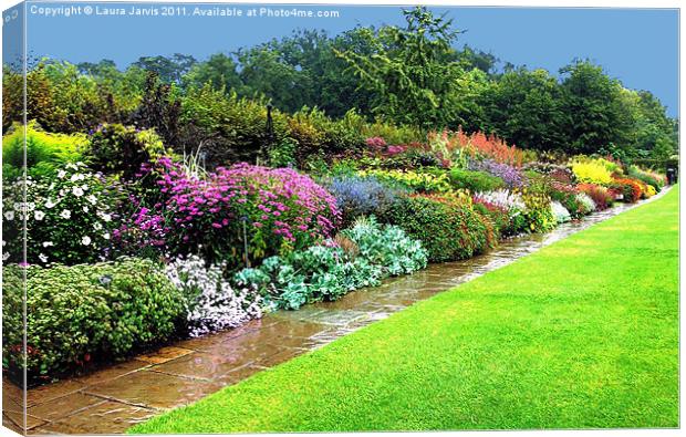 Herbaceous border after rain. Canvas Print by Laura Jarvis