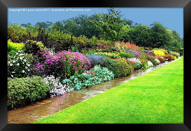 Herbaceous border after rain. Framed Print by Laura Jarvis
