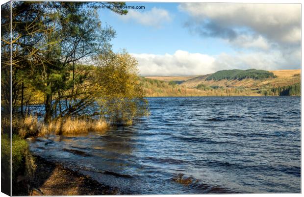 Pontsticill Reservoir Central Brecon Beacons Canvas Print by Nick Jenkins